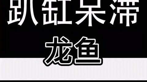 龍魚趴缸是否需要就醫