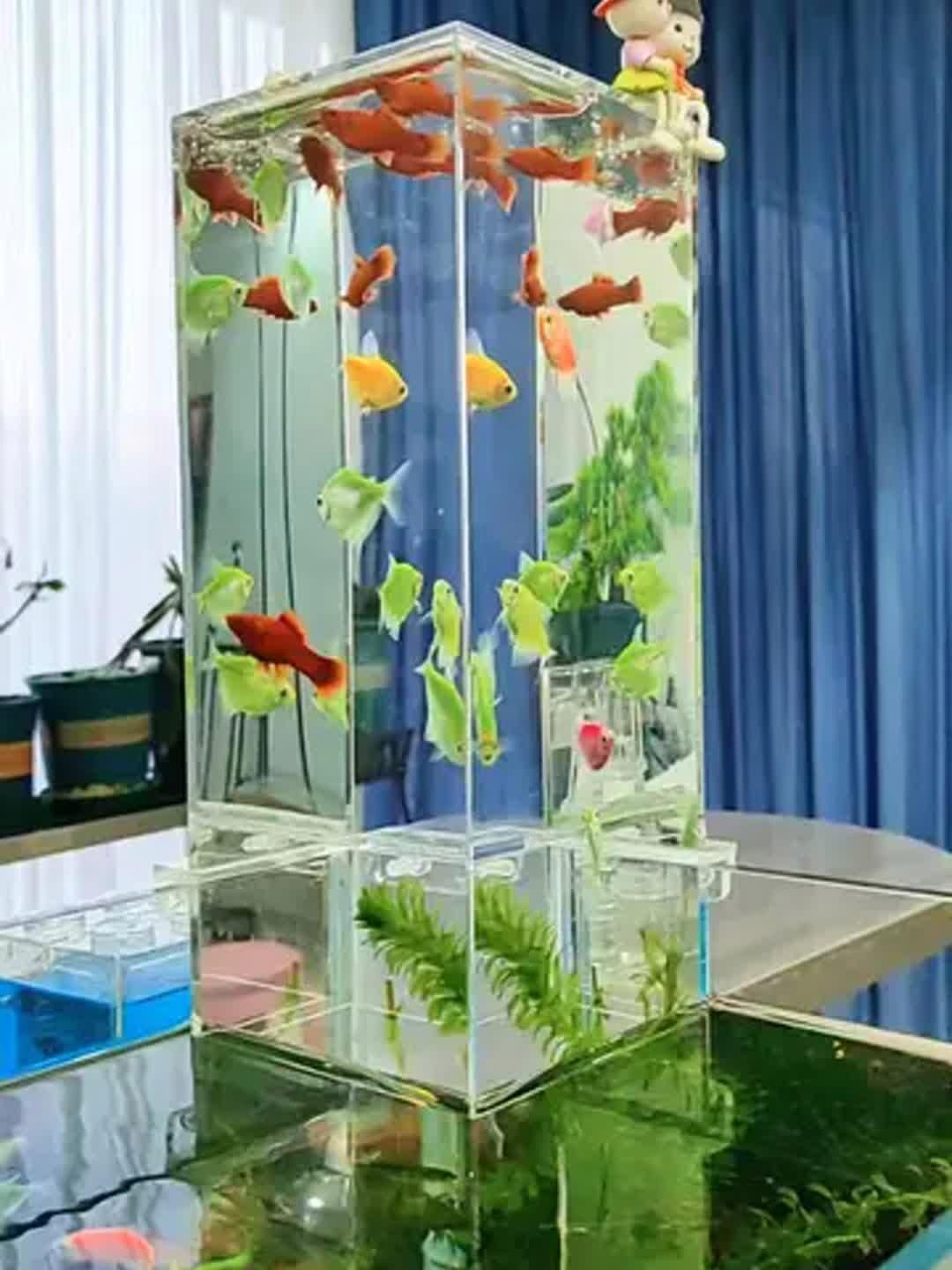 能詳細(xì)講講如何擴(kuò)大魚缸空間嗎