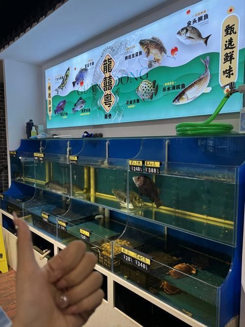 如何判斷一個龍魚漁場是否可靠？，如何判斷一個龍魚漁場可靠性？ 如何判斷一個龍魚漁場是否可靠？，如何判斷一個龍魚漁場可靠性？ 龍魚百科 第3張