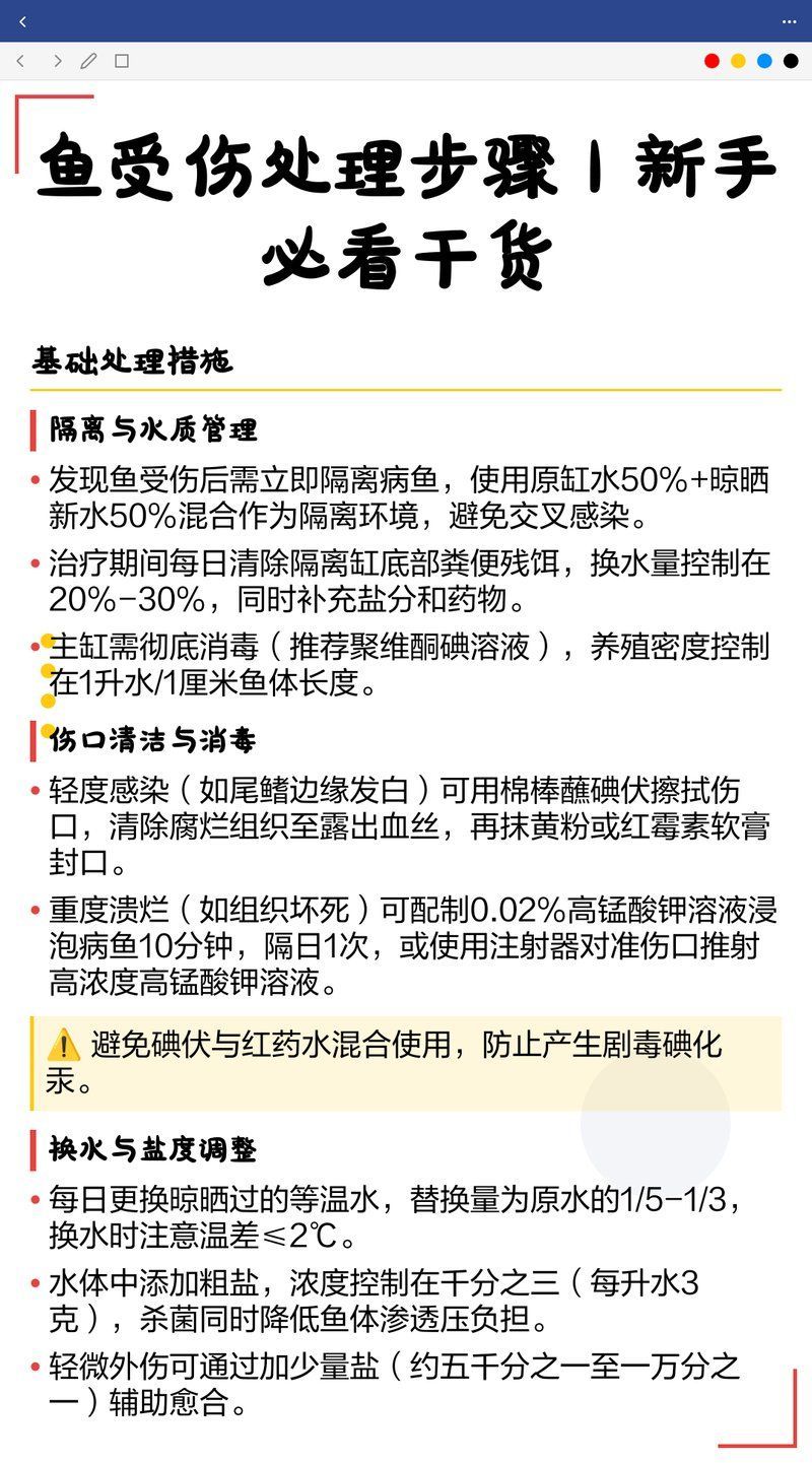 龍魚外傷后如何護理，|新手必看干貨魚受傷處理步驟|新手必看