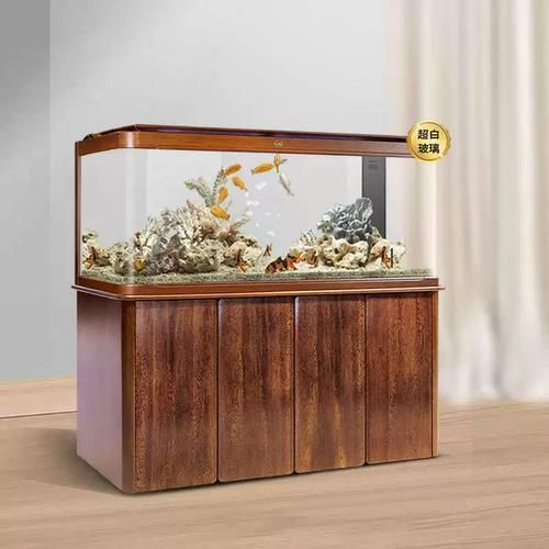 哪個品牌的龍魚缸最好,金魚世家龍魚缸選購 龍魚百科 第9張 哪個品牌的龍魚缸最好,金魚世家龍魚缸選購 哪個品牌的龍魚缸最好,金魚世家龍魚缸選購 龍魚百科 第9張