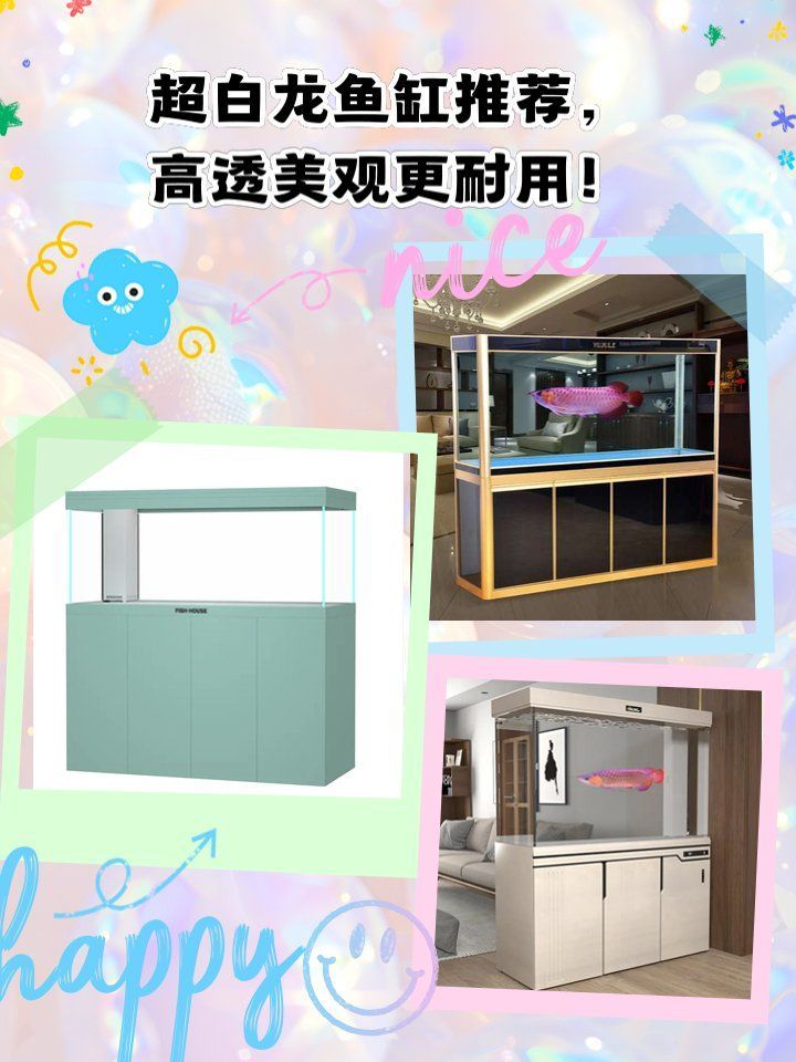哪個品牌的龍魚缸最好，金魚世家龍魚缸選購 哪個品牌的龍魚缸最好，金魚世家龍魚缸選購 龍魚百科 第10張