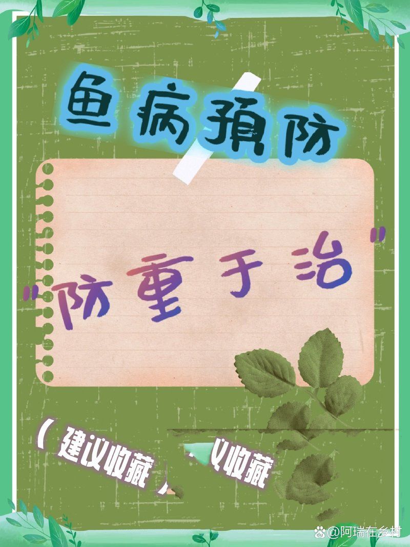 如何預防魚病的發生，arxiv論文助手arxiv論文助手arxiv論文助手 如何預防魚病的發生，arxiv論文助手arxiv論文助手arxiv論文助手 龍魚百科 第11張