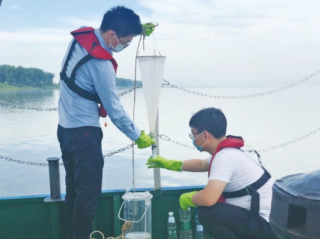 如何預防魚病的發生，arxiv論文助手arxiv論文助手arxiv論文助手 如何預防魚病的發生，arxiv論文助手arxiv論文助手arxiv論文助手 龍魚百科 第3張