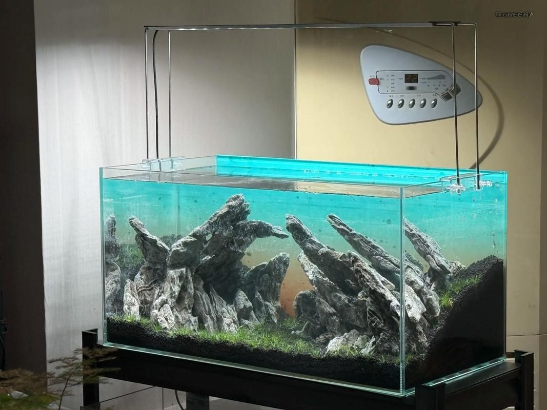如何選擇適合養龍的龍魚缸?,如何選擇適合養龍的魚缸 龍魚百科 第10張 如何選擇適合養龍的龍魚缸?,如何選擇適合養龍的魚缸 如何選擇適合養龍的龍魚缸?,如何選擇適合養龍的魚缸 龍魚百科 第10張