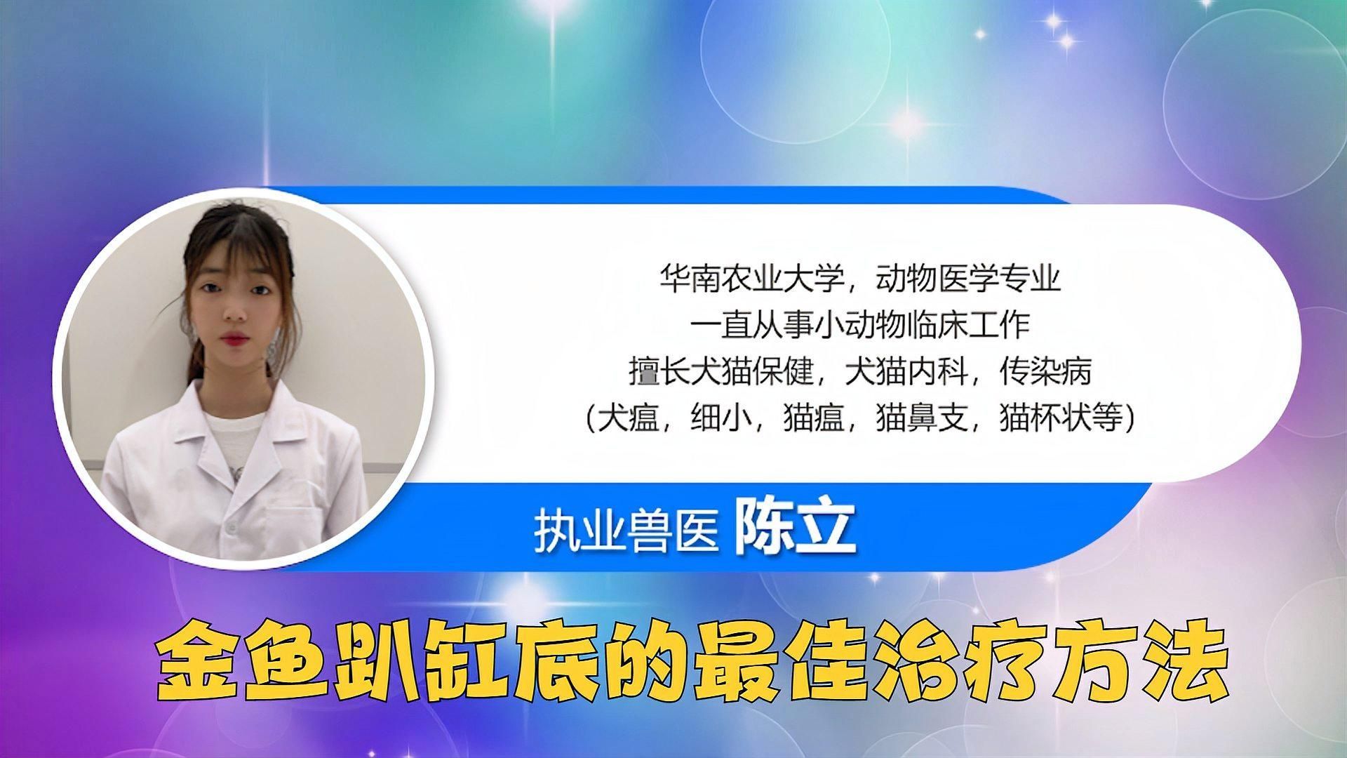 金魚趴缸底如何快速恢復，金魚日常養護checklist 金魚趴缸底如何快速恢復，金魚日常養護checklist 龍魚百科 第2張