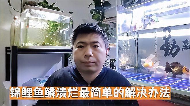 爛鱗病會自愈嗎，觀賞魚爛尾爛鰭爛鱗怎么辦 爛鱗病會自愈嗎，觀賞魚爛尾爛鰭爛鱗怎么辦 龍魚百科 第3張