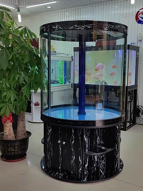有哪些適合客廳的圓柱形魚缸，適合客廳的圓柱形魚缸 有哪些適合客廳的圓柱形魚缸，適合客廳的圓柱形魚缸 龍魚百科 第1張