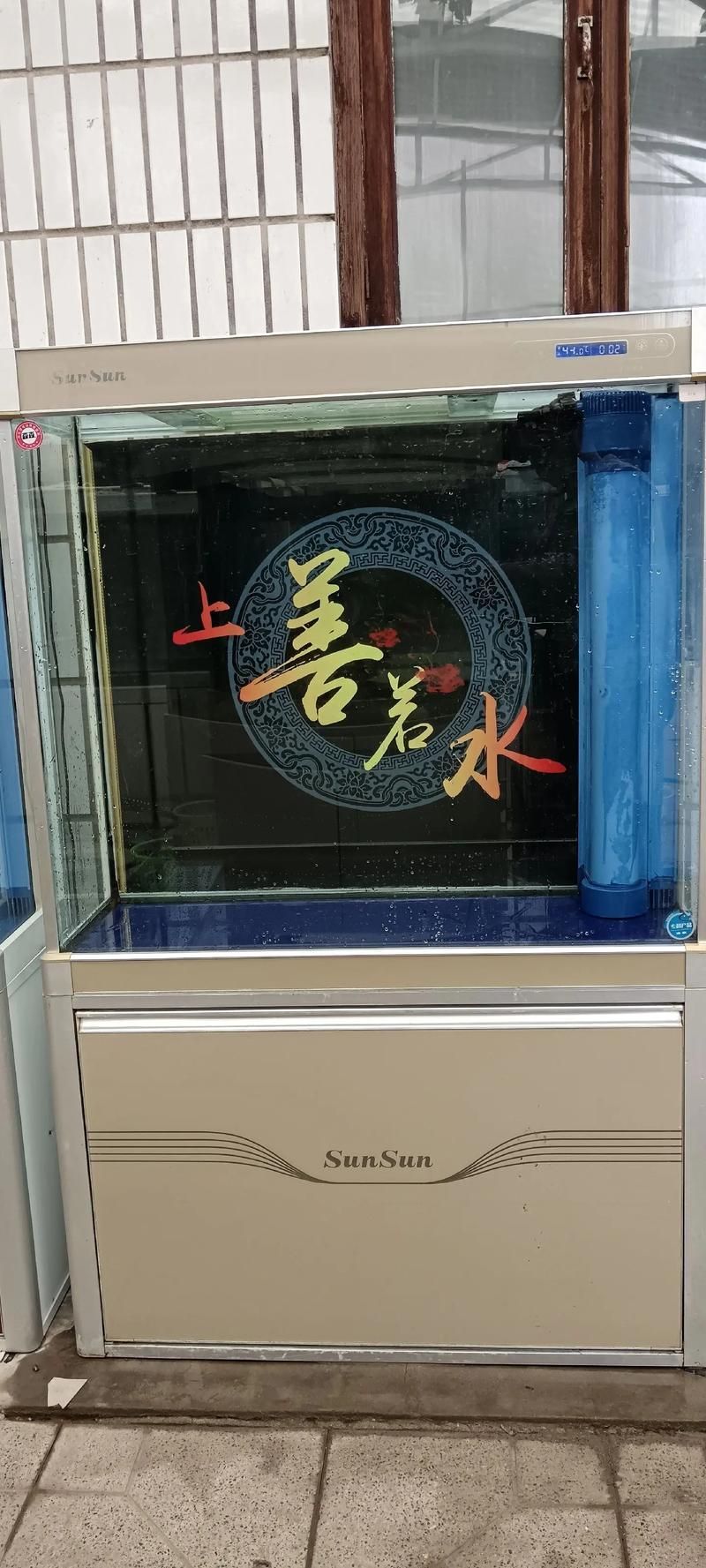 給我推薦幾款適合初學者的龍魚缸，新手養魚避坑之魚缸篇 給我推薦幾款適合初學者的龍魚缸，新手養魚避坑之魚缸篇 龍魚百科 第2張