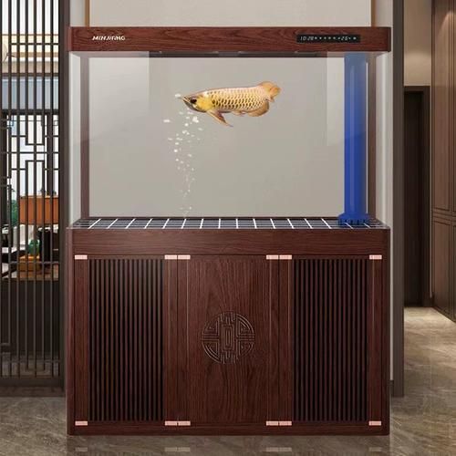 給我推薦幾款適合初學者的龍魚缸，新手養魚避坑之魚缸篇 給我推薦幾款適合初學者的龍魚缸，新手養魚避坑之魚缸篇 龍魚百科 第7張