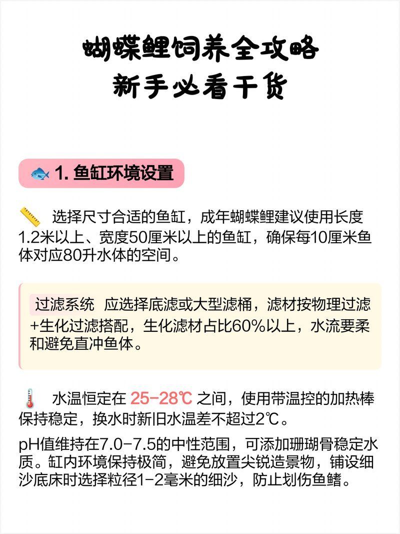 蝴蝶鯉需要什么樣的過濾系統(tǒng)？，|新手必看蝴蝶鯉過濾系統(tǒng)配置與花費詳解 蝴蝶鯉需要什么樣的過濾系統(tǒng)？，|新手必看蝴蝶鯉過濾系統(tǒng)配置與花費詳解 龍魚百科 第2張