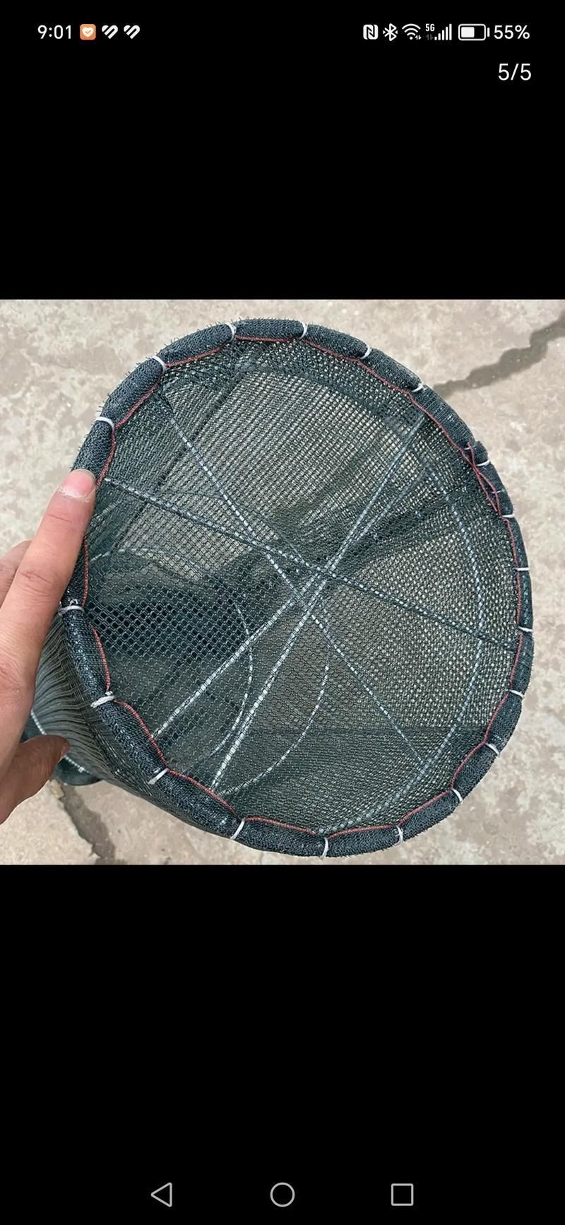 如何保護魚卵不被其他魚類啄食，保護魚卵不被其他魚類啄食 如何保護魚卵不被其他魚類啄食，保護魚卵不被其他魚類啄食 龍魚百科 第5張