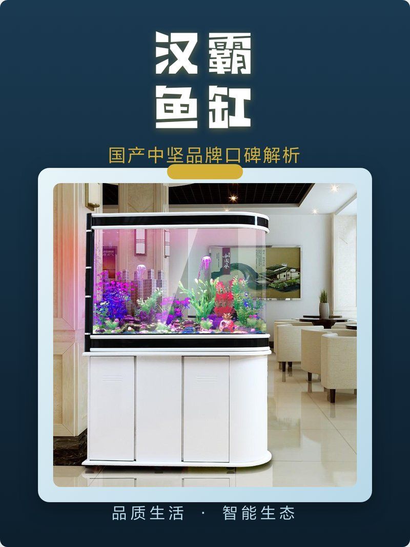 森森和漢霸哪個品牌更好？，森森和漢霸哪個品牌口碑更好 森森和漢霸哪個品牌更好？，森森和漢霸哪個品牌口碑更好 龍魚百科 第2張
