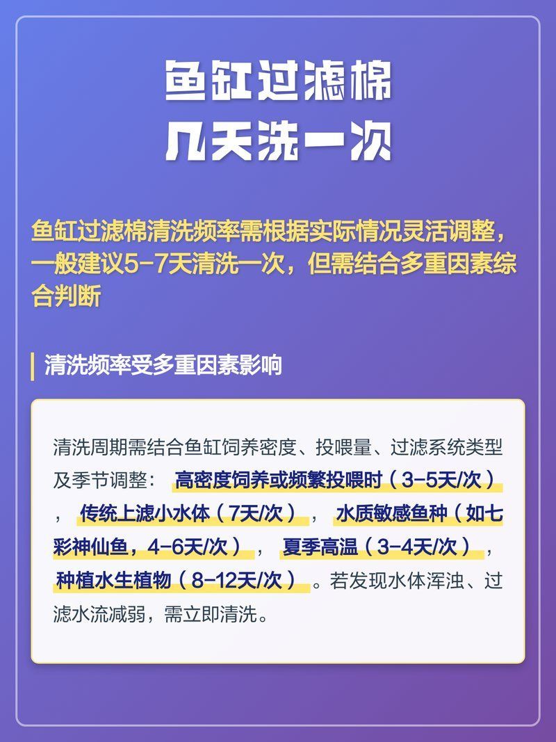 龍魚缸過濾系統多久清洗一次？，魚缸過濾多久清洗一次新手必看趣味玩家記 龍魚缸過濾系統多久清洗一次？，魚缸過濾多久清洗一次新手必看趣味玩家記 龍魚百科 第2張