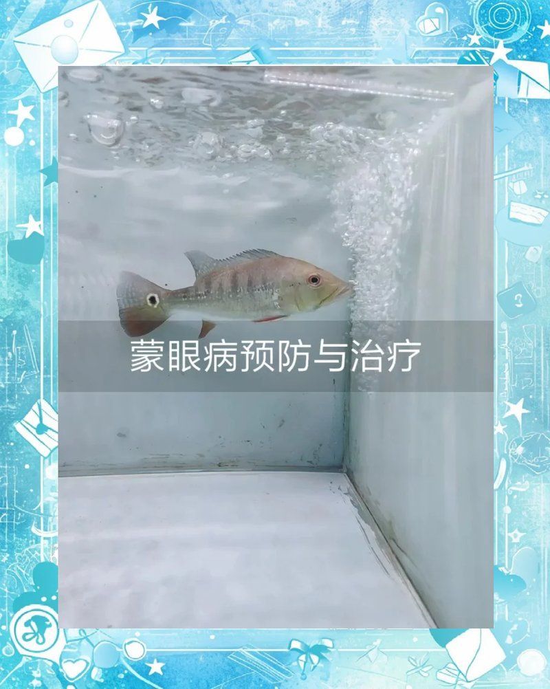 七彩神仙魚蒙眼有哪些治療方法，七彩神仙魚蒙眼怎么辦