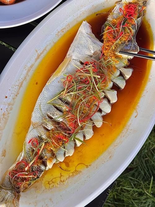 福滿鉆魚是一道什么菜？，“福滿鉆魚”是什么菜？ 福滿鉆魚是一道什么菜？，“福滿鉆魚”是什么菜？ 龍魚百科 第6張