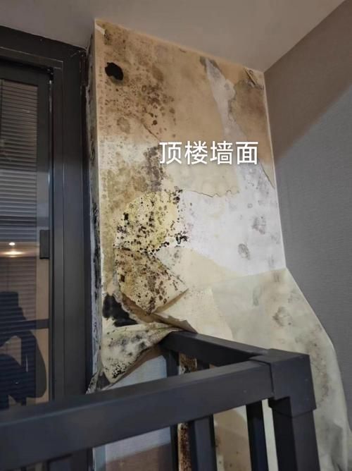 魚缸壓塌樓板后多久能修復,魚缸壓塌樓板修復流程 龍魚百科 第5張 魚缸壓塌樓板后多久能修復,魚缸壓塌樓板修復流程 魚缸壓塌樓板后多久能修復,魚缸壓塌樓板修復流程 龍魚百科 第5張