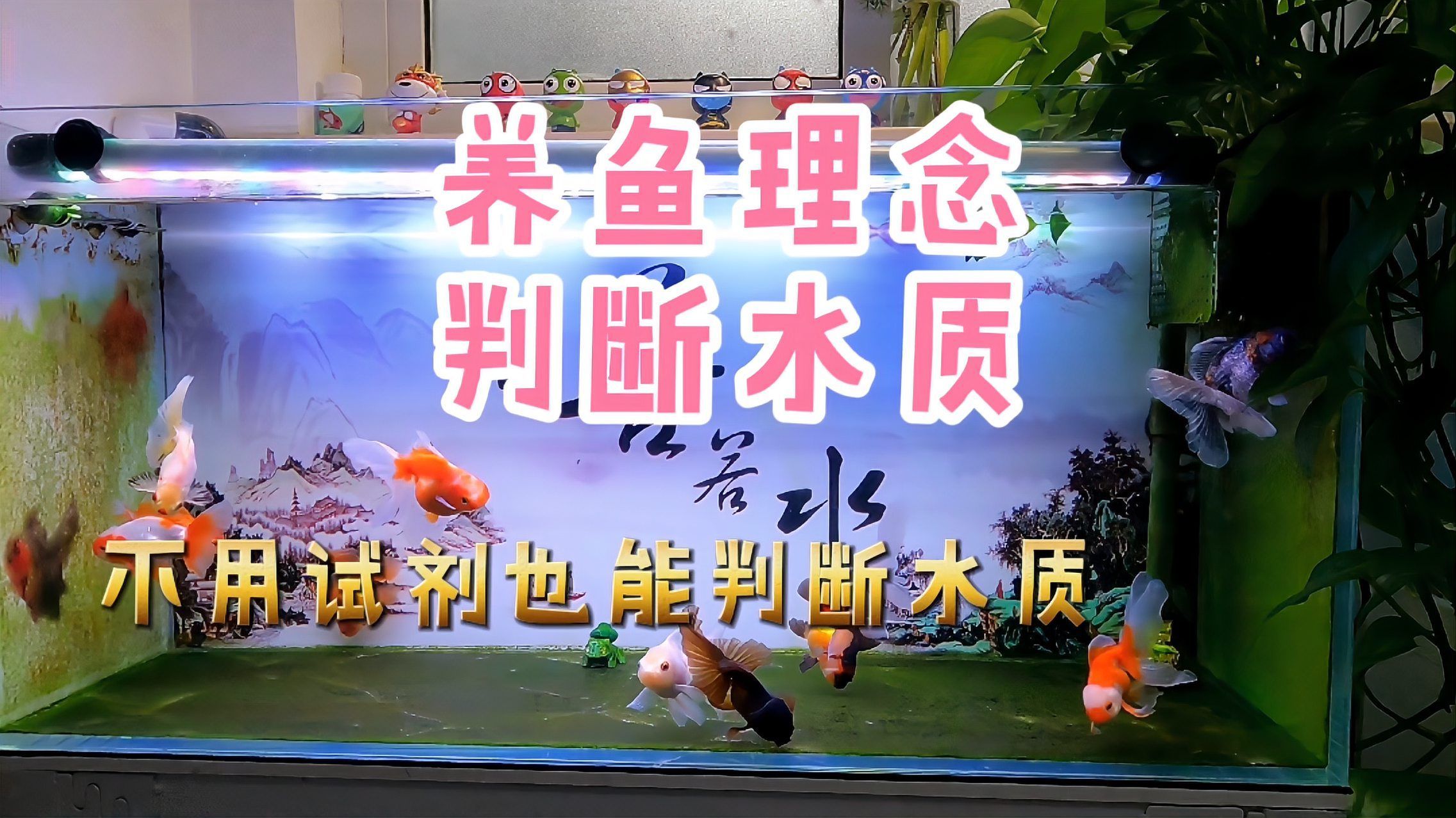 如何判斷水質(zhì)是否適合觀賞魚？，養(yǎng)魚筆記第2季04:48判斷水質(zhì)是否適合觀賞魚
