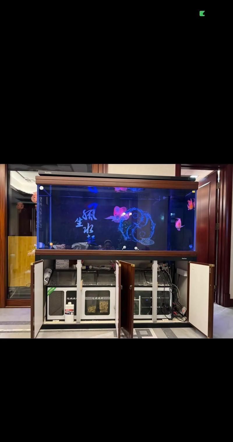 給我推薦幾款高端龍魚缸的具體型號，幾款高端龍魚缸型號推薦