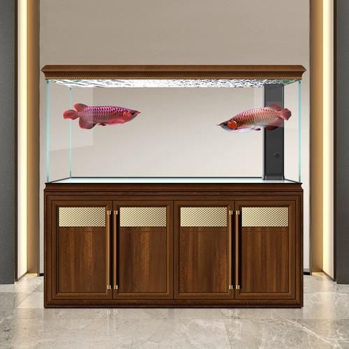 給我推薦幾款高端龍魚缸的具體型號，幾款高端龍魚缸型號推薦 給我推薦幾款高端龍魚缸的具體型號，幾款高端龍魚缸型號推薦 龍魚百科 第9張