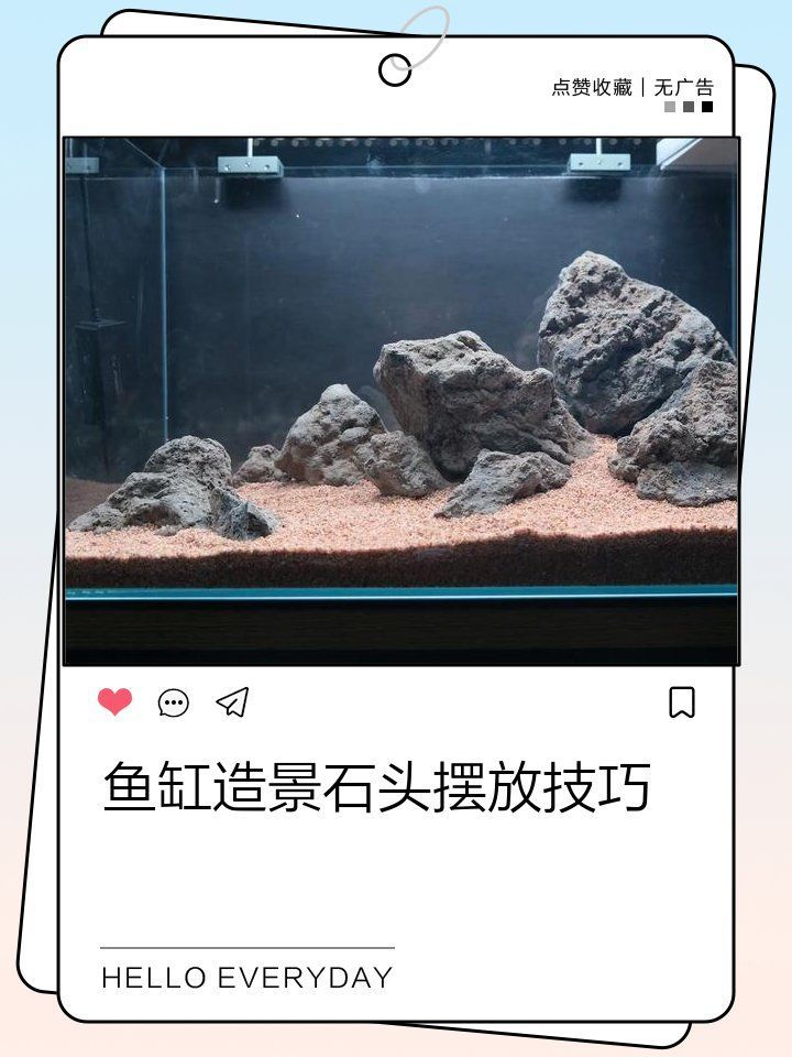 如何欣賞龍魚缸的造景藝術？，如何欣賞龍魚缸造景藝術？ 如何欣賞龍魚缸的造景藝術？，如何欣賞龍魚缸造景藝術？ 龍魚百科 第10張