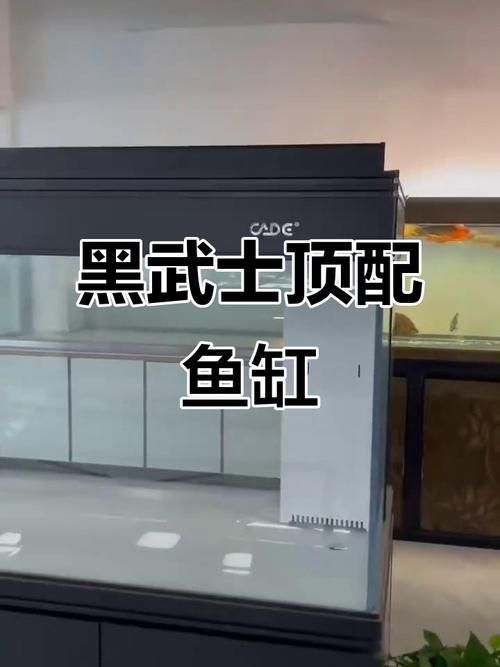 彩蝶魚缸有哪些型號推薦？，彩蝶pr30背濾缸大揭秘