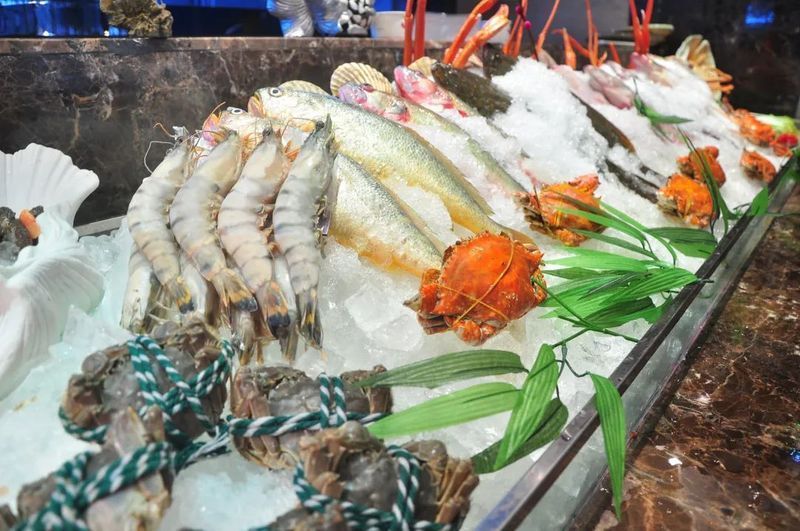 如何預防魚類細菌感染人體，預防魚類細菌感染人體的方法 如何預防魚類細菌感染人體，預防魚類細菌感染人體的方法 龍魚百科 第3張