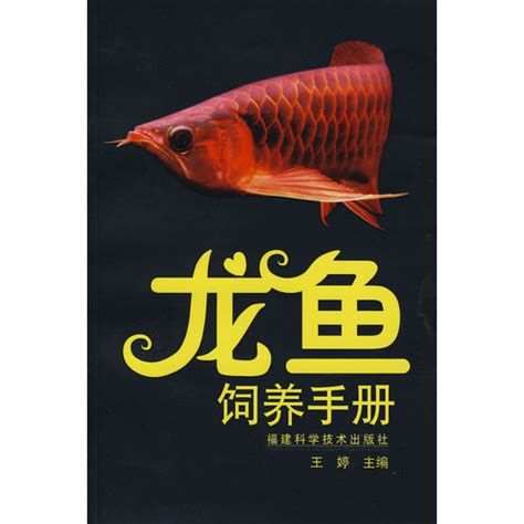 龍魚(yú)有哪些行為禁忌，關(guān)于龍魚(yú)的飼養(yǎng)禁忌