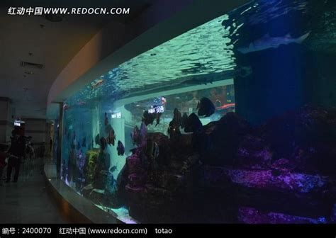 魚缸百科，有聲書:魚缸百科