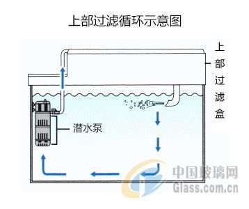 如何判斷魚缸水流是否適合龍魚？，判斷魚缸水流是否適合龍魚 如何判斷魚缸水流是否適合龍魚？，判斷魚缸水流是否適合龍魚 廣州正大漁場 第2張