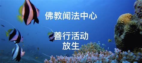 佛說(shuō)魚(yú)最好的安葬方法，佛說(shuō)魚(yú)最好的安葬方法是什么？