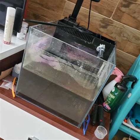 龍魚交叉感染最怕三個東西,龍魚交叉感染的“最怕三件事” 廣州正大漁場 第3張 龍魚交叉感染最怕三個東西,龍魚交叉感染的“最怕三件事” 龍魚交叉感染最怕三個東西,龍魚交叉感染的“最怕三件事” 廣州正大漁場 第3張