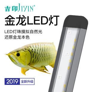 推薦幾款性價比高的龍魚誘色燈