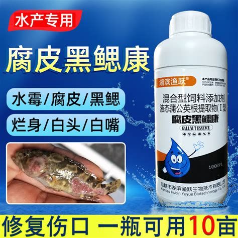 龍魚爛鰓,關于龍魚爛鰓病的詳盡解析 廣州正大漁場 第3張 龍魚爛鰓,關于龍魚爛鰓病的詳盡解析 龍魚爛鰓,關于龍魚爛鰓病的詳盡解析 廣州正大漁場 第3張