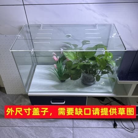 如何預(yù)防龍魚夜間跳缸？，龍魚夜間跳缸怎么辦