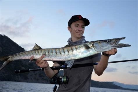 斯巴沃紅龍魚和大湖龍魚 斯巴沃紅龍魚和大湖龍魚 廣州正大漁場(chǎng) 第2張