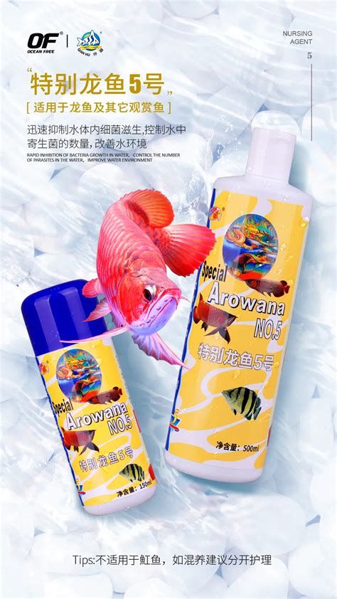 龍魚水溫32度會活多久？，關于龍魚水溫32度會活多久？ 龍魚水溫32度會活多久？，關于龍魚水溫32度會活多久？ 斯巴沃紅龍魚
