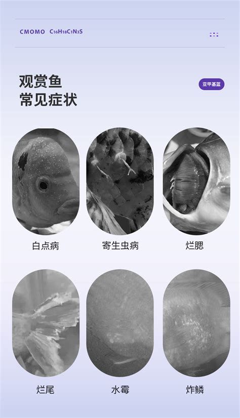 龍魚呼吸急促要警惕四種病，龍魚呼吸急促怎么辦