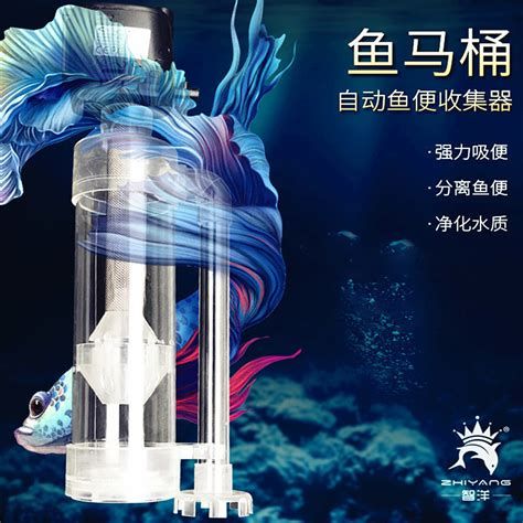 如何判斷龍魚是否消化大麥蟲成功？，如何判斷龍魚消化大麥蟲成功？ 如何判斷龍魚是否消化大麥蟲成功？，如何判斷龍魚消化大麥蟲成功？ 斯巴沃紅龍魚 第2張