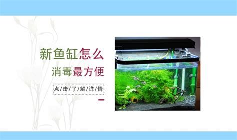 龍魚缸出水口需要多久清潔一次？，龍魚缸出水口怎么清洗？