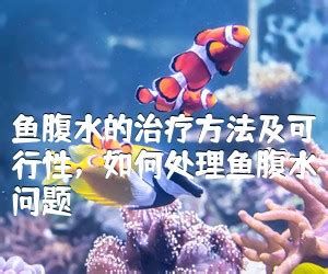 龍魚腹水抽了最簡單處理，龍魚腹水抽了怎么辦