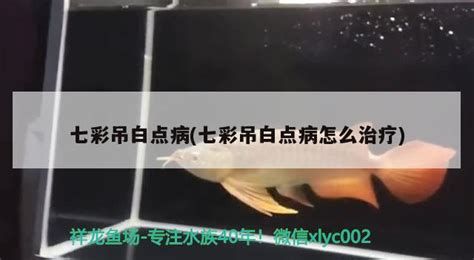 如何判斷金龍魚是否得病，金龍魚得病了怎么辦