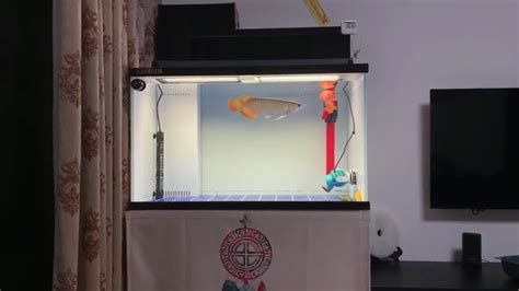 如何判斷龍魚缸出水口是否合適？，判斷龍魚缸出水口是否合適主要考慮以下幾個因素