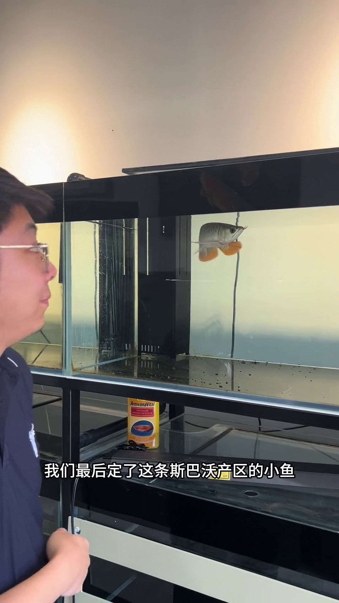 斯巴沃紅龍魚證書，什么是斯巴沃紅龍魚證書