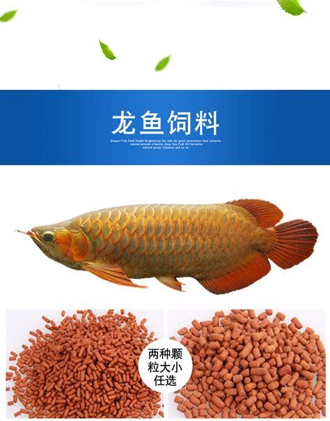 如何科學(xué)搭配龍魚(yú)飼料？，《龍魚(yú)科學(xué)飼料搭配指南》 如何科學(xué)搭配龍魚(yú)飼料？，《龍魚(yú)科學(xué)飼料搭配指南》 斯巴沃紅龍魚(yú)