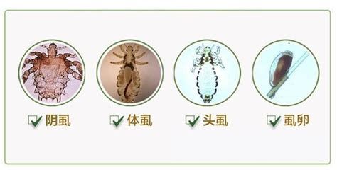 龍魚外寄不治療會死嗎？，龍魚外寄生不治療會死亡嗎