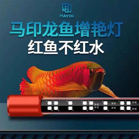 哪種品牌的紅龍魚誘色燈最好？，紅龍魚誘色燈怎么選