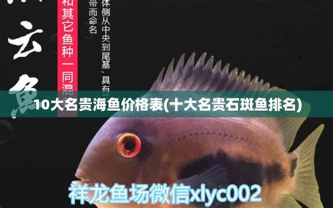 祥龍魚場高端龍魚，“祥龍魚場”高端龍魚養(yǎng)殖專題解讀祥瑞龍魚場