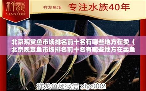 祥龍魚(yú)場(chǎng)各市分站,祥龍魚(yú)場(chǎng)各市分站介紹 廣州正大漁場(chǎng) 第2張 祥龍魚(yú)場(chǎng)各市分站,祥龍魚(yú)場(chǎng)各市分站介紹 祥龍魚(yú)場(chǎng)各市分站,祥龍魚(yú)場(chǎng)各市分站介紹 廣州正大漁場(chǎng) 第2張