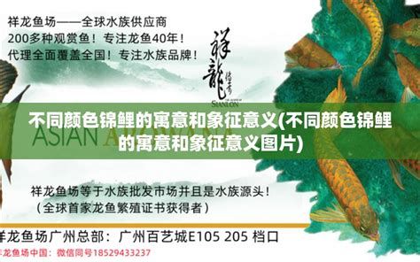 祥龍魚場各市分站，祥龍魚場各市分站介紹